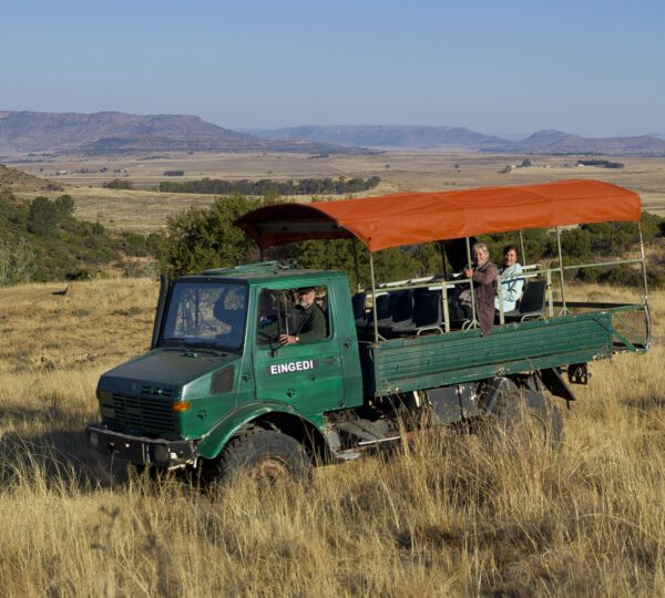 Eingedi17008